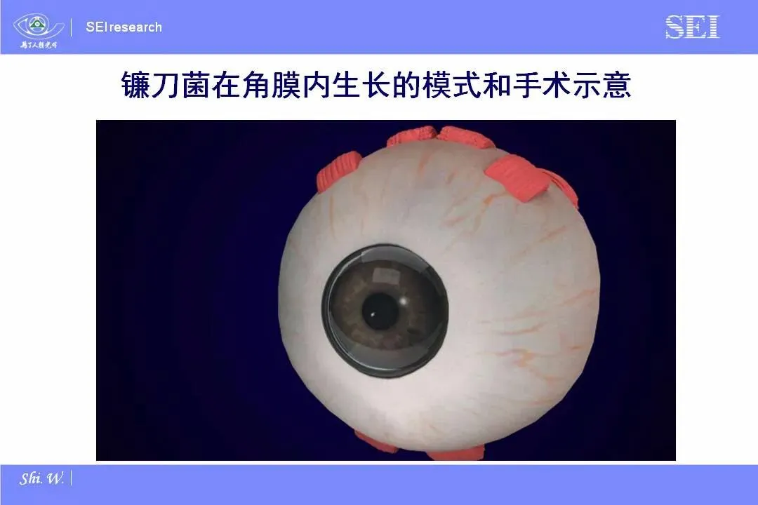 e2d4a162de8c628678ed991ce77caa7.png