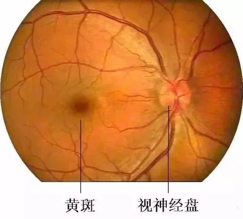 41039ef6b699770a310d5ada7d8805d.png