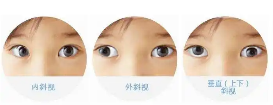 1751612448871.png