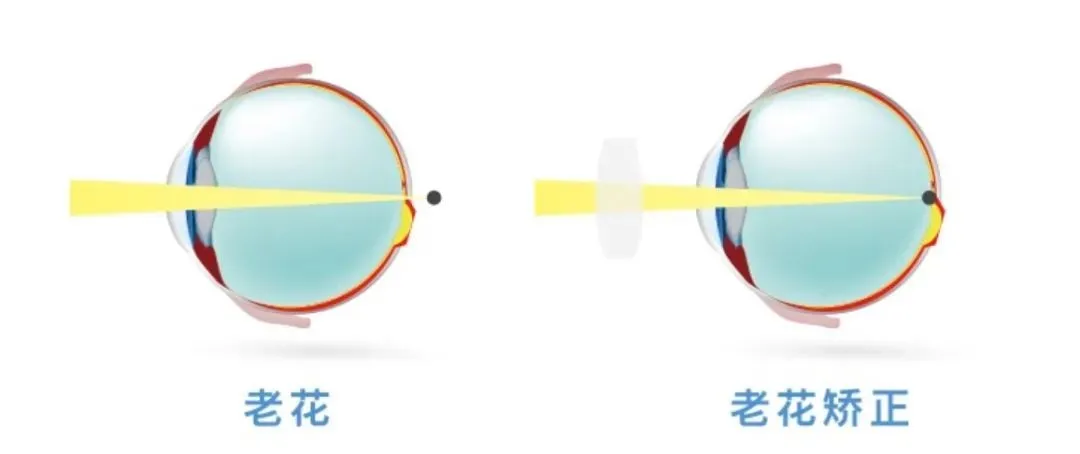 eb2e120fc3884fd0cd41d4ab24ad751.png
