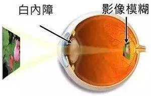 11bf57da0b2b905d7c37f3d406c380a.png