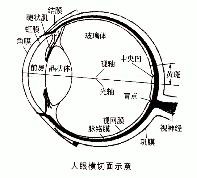 24a60cee02318a674ff66e0112e4870.png