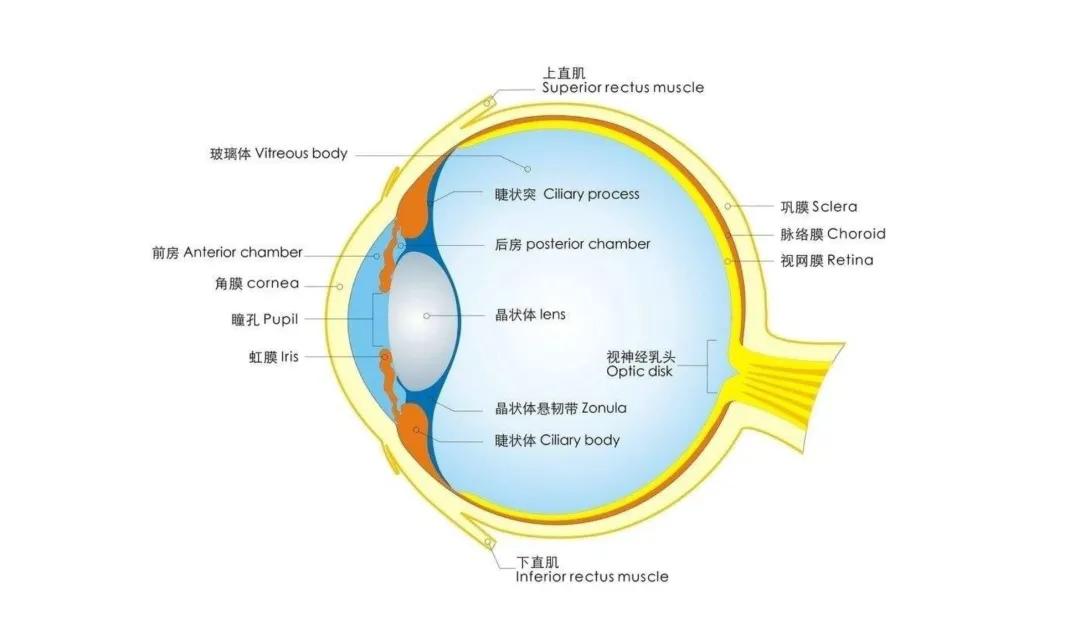 3b0078caa62377f724b6233b4a9c284.png