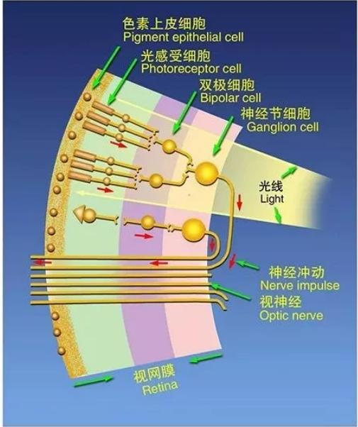 a545af708042f3b93b6cb4eec0e7dcf.png