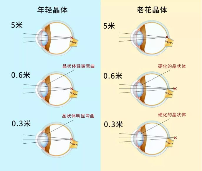 8ea0ad9640c56036720fd0b9952840e.png