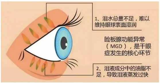 微信截图_20250715170118.png