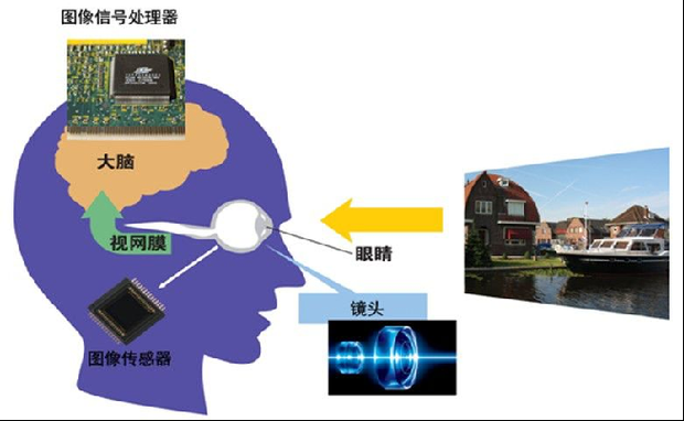 1752729488903064.png 34e2dede77f5a042a9246206f2ef463.png
