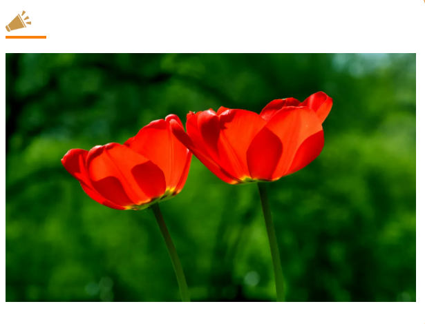 327a95ce1926ec13314f4a87fd3b937.png