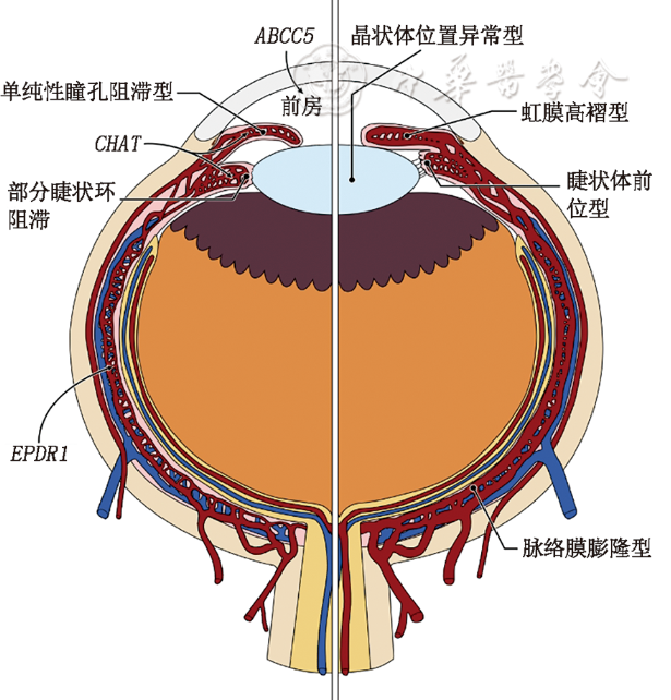d2ac3ccd8956b68cf1e944f29580bbb8.png