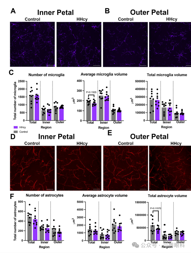 1760001151986342.png 1760001151986342.png