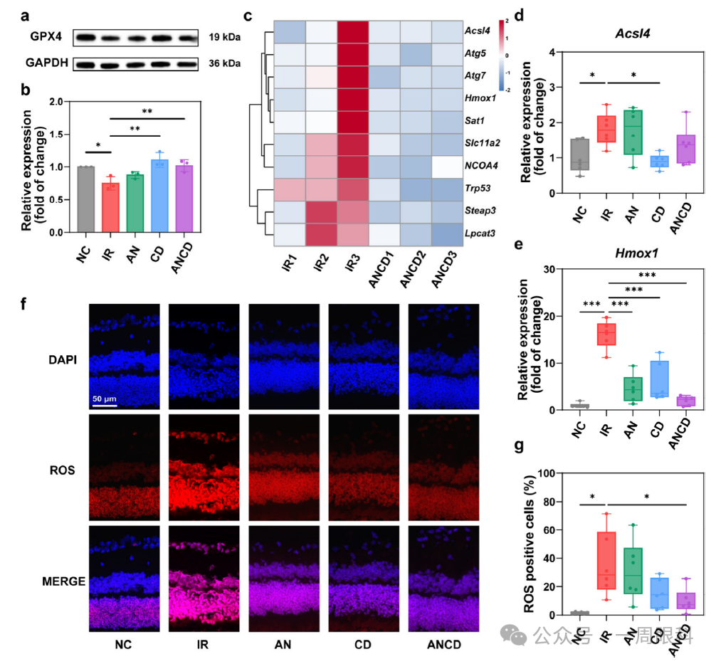 1760077033788986.png 1760077033788986.png