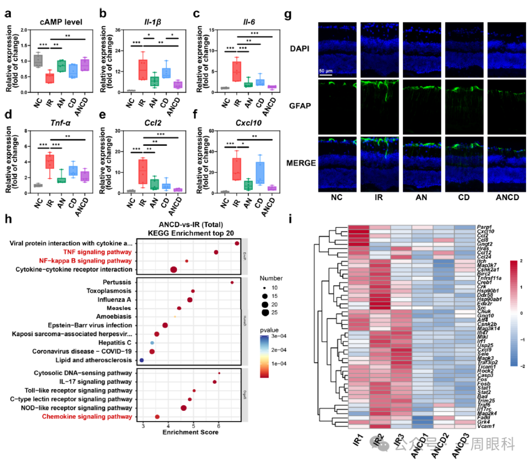 1760077041793758.png 图片19.png