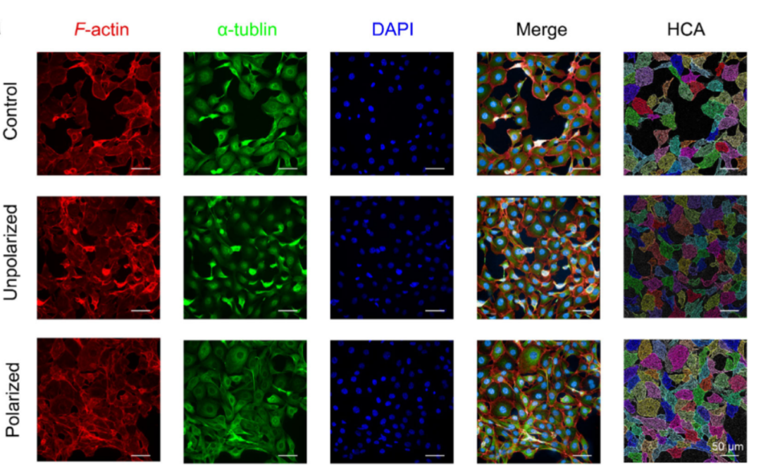 1760497055825194.png 1760497055825194.png