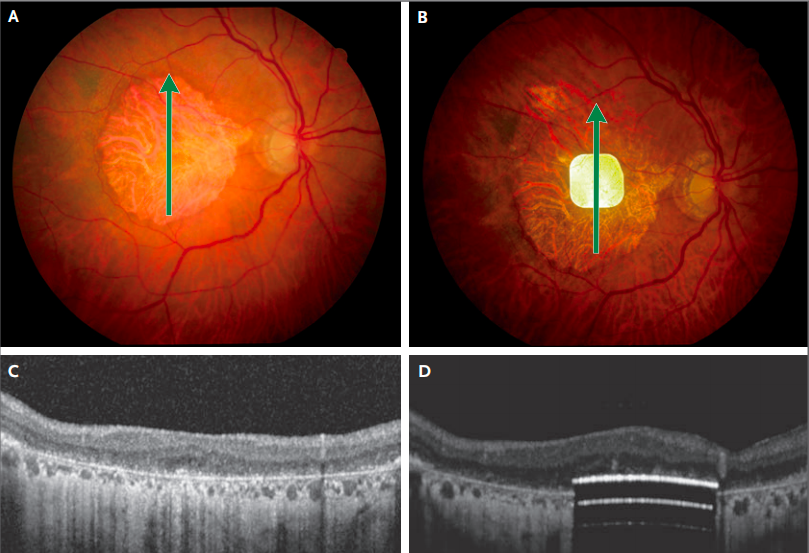 1761128502936533.png 1761128502936533.png