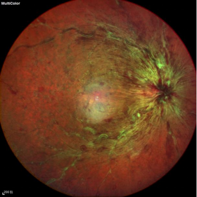 1761129150271239.png 1761129150271239.png